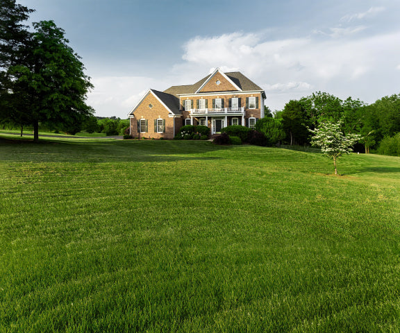 Navimow i110E robot lawn mower on a large green lawn.