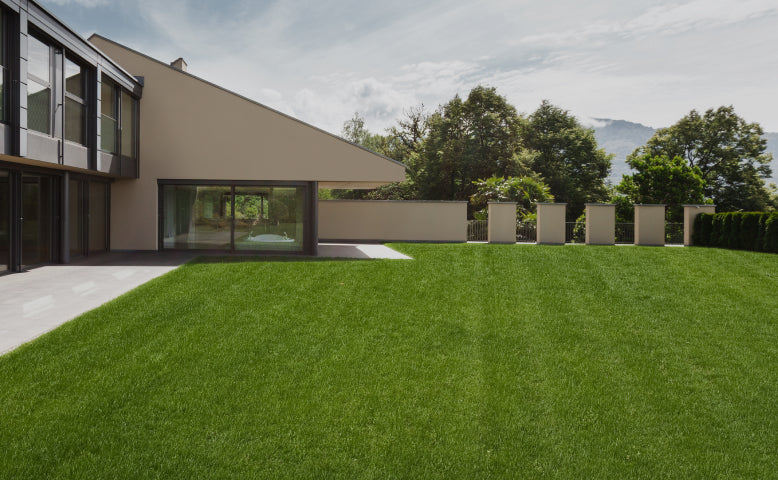 Segway Navimow i105E robot lawn mower mows the green yard.