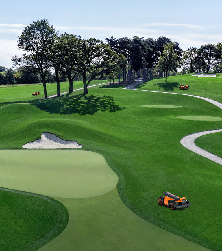 Navimow i110S robot lawn mower mows the green golf course.