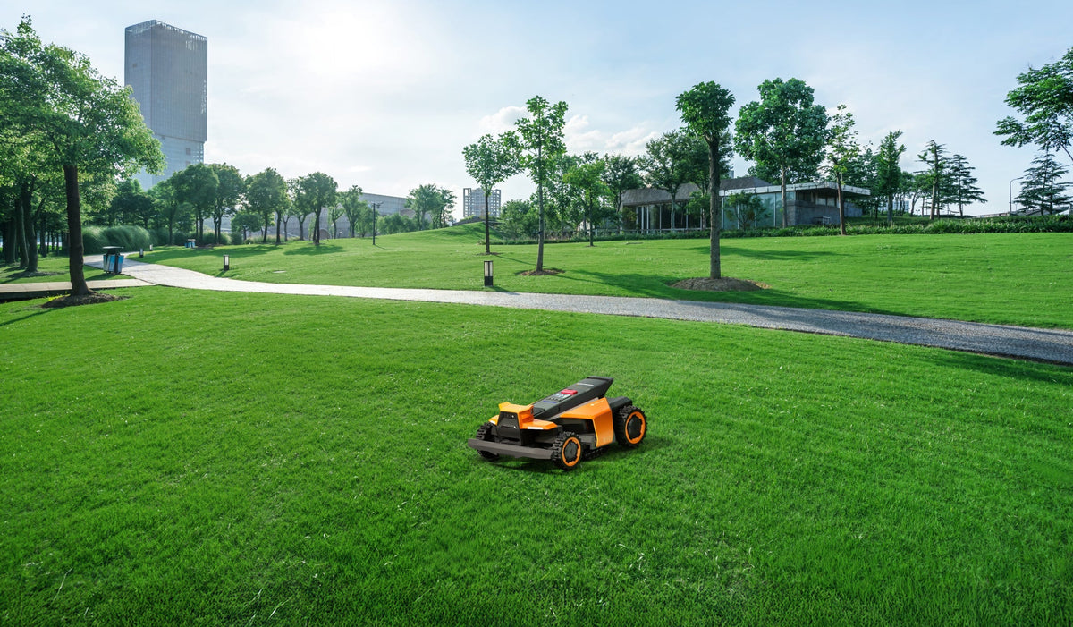 A Navimow i110N robot lawn mower on the green grass.