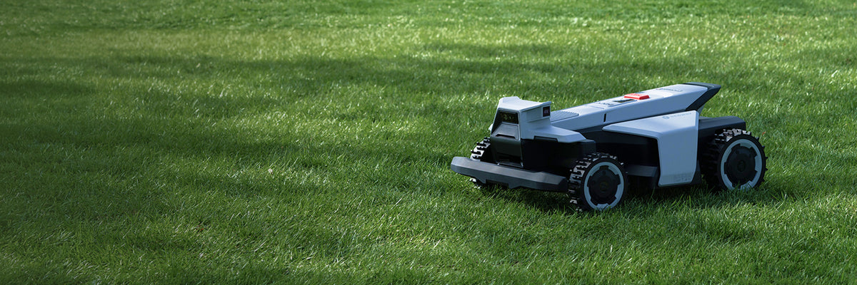 Segway Navimow i110E robot lawn mower on the green grass.