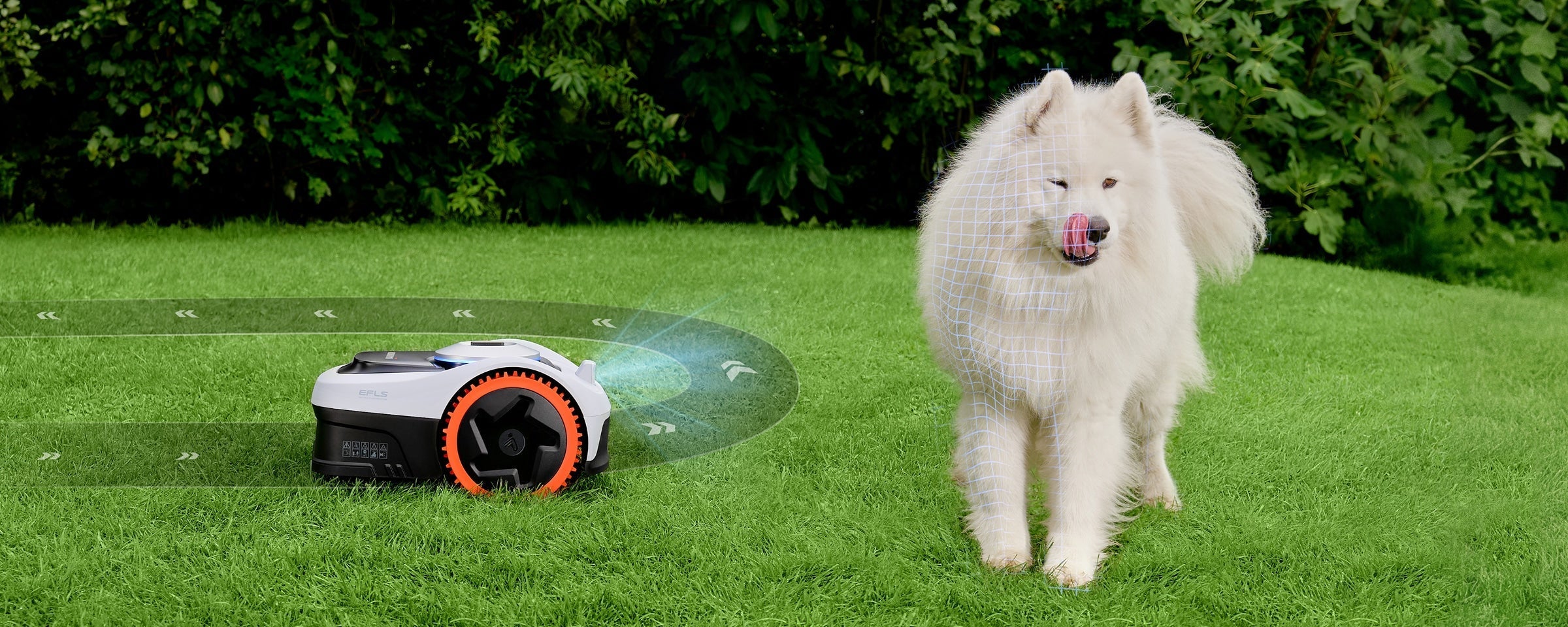 Navimow i110N robot lawn mower avoids a white fluffy dog.