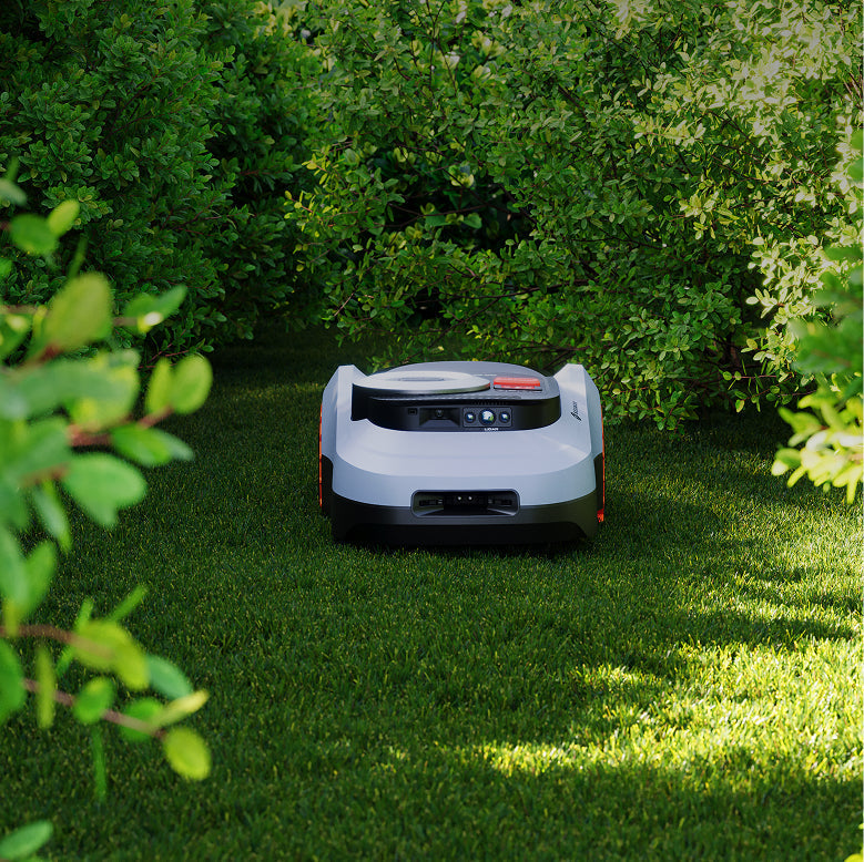 Segway Navimow i110N robot lawn mower mows the green garden.