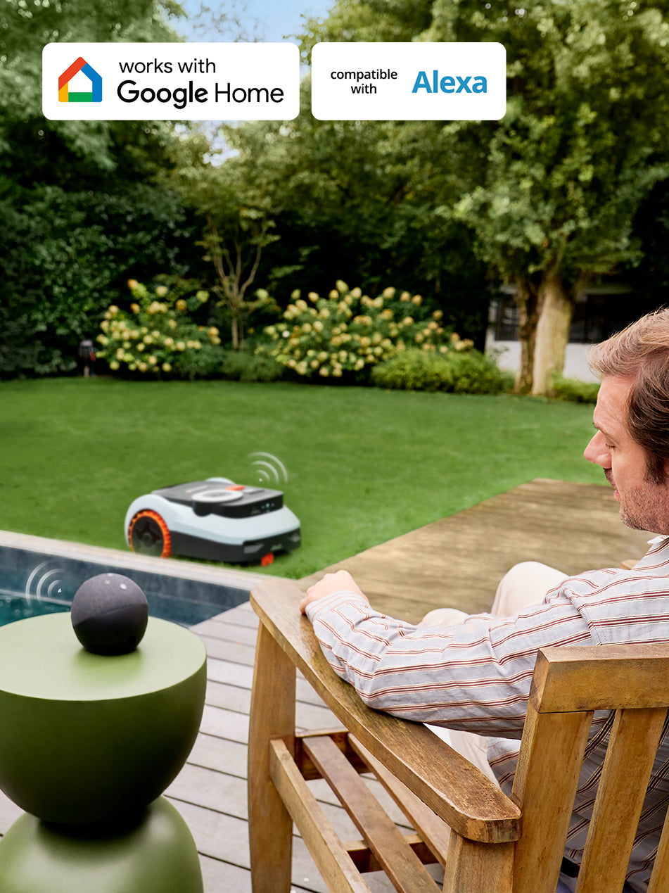 Segway Navimow i110N robot lawn mower in the green garden.
