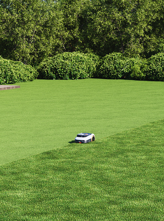 Navimow i110E robot lawn mower mows the lush green grass.