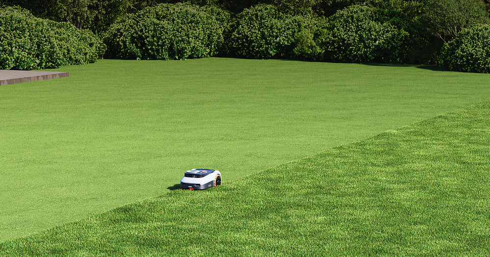 Navimow i Series robot lawn mower trims the green lawn.