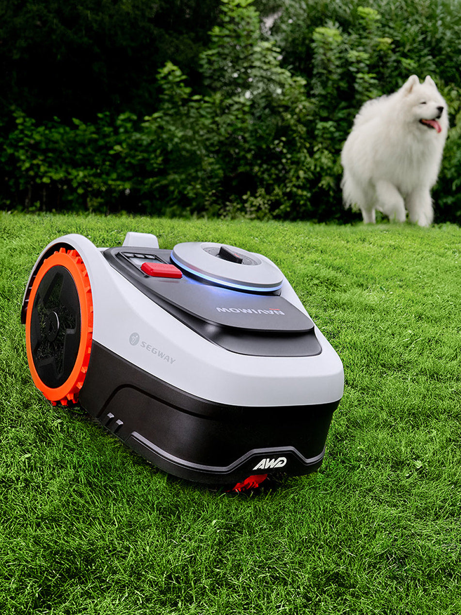 Segway Navimow robot lawn mower on grass with white dog.