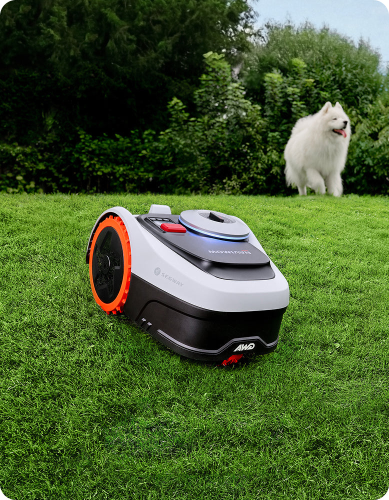Segway Navimow robot lawn mower on grass with white dog.